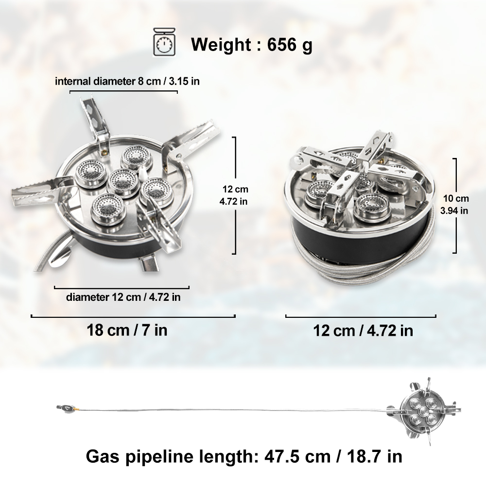 Widesea Camping 5in1 Gas Stove - đánh giá và giá Camping Cooking Grate